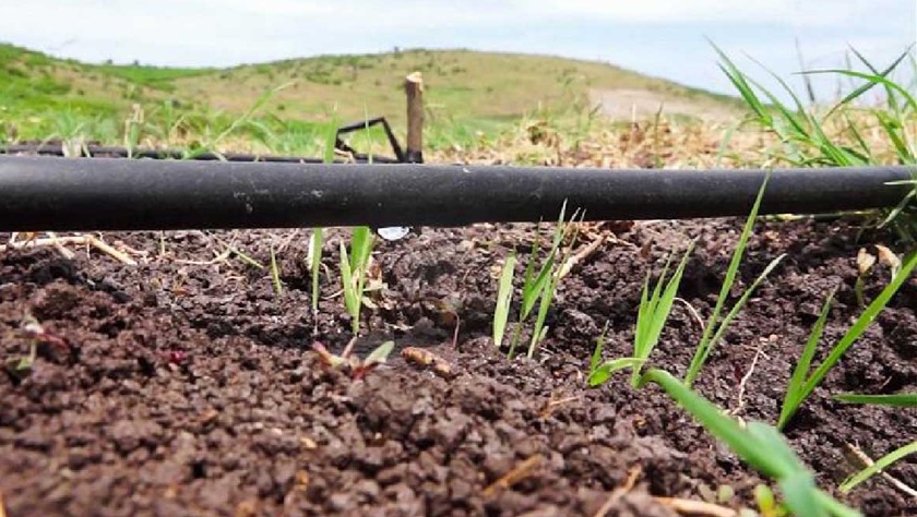 Damla Sulama Sistemleri Nedir? Avantajları ve Tarımda Önemi.
