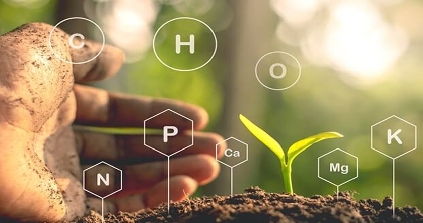 Bitki Besleme Ürünleri ve Tarım Ekipmanlarının Tarımdaki Önemi